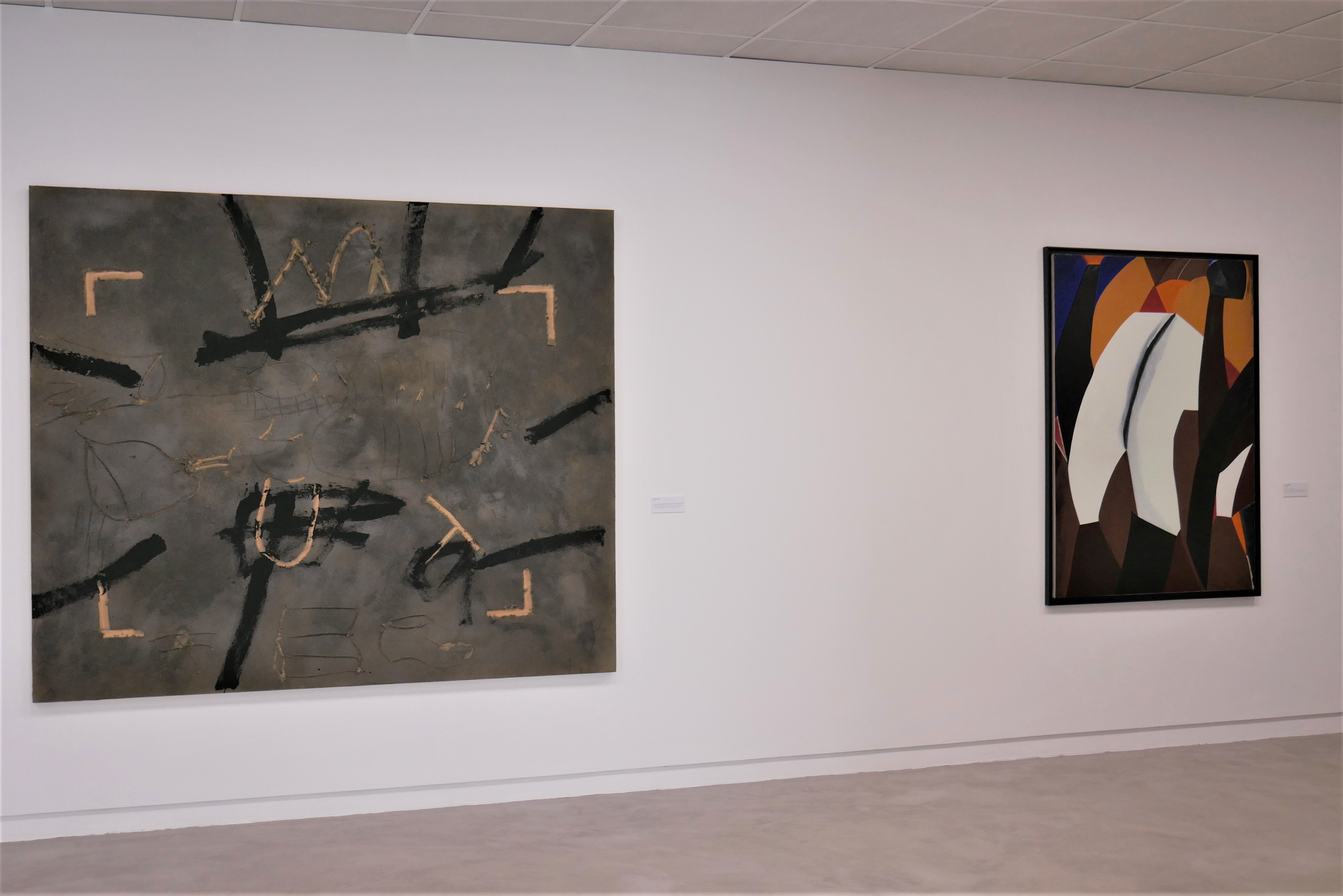 «De que é feita uma coleção? Corpo e Matéria», Centro de Arte Contemporânea de Coimbra, Julho 2020 a Janeiro 2021