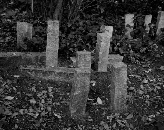 Untitled, series “Ballad of Today”