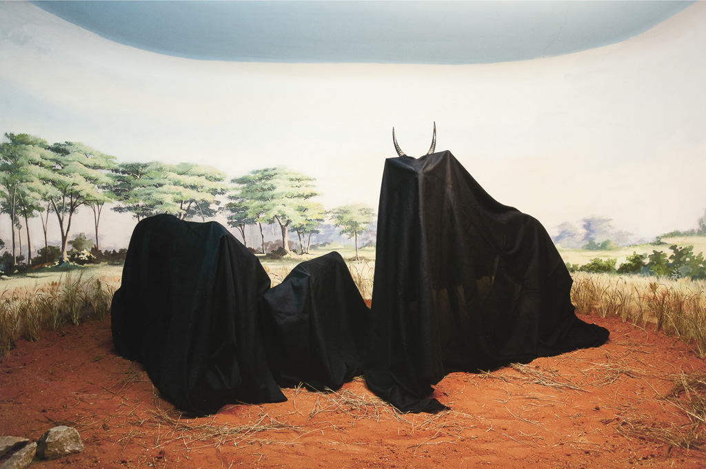 In the Days of a Dark Safari #1