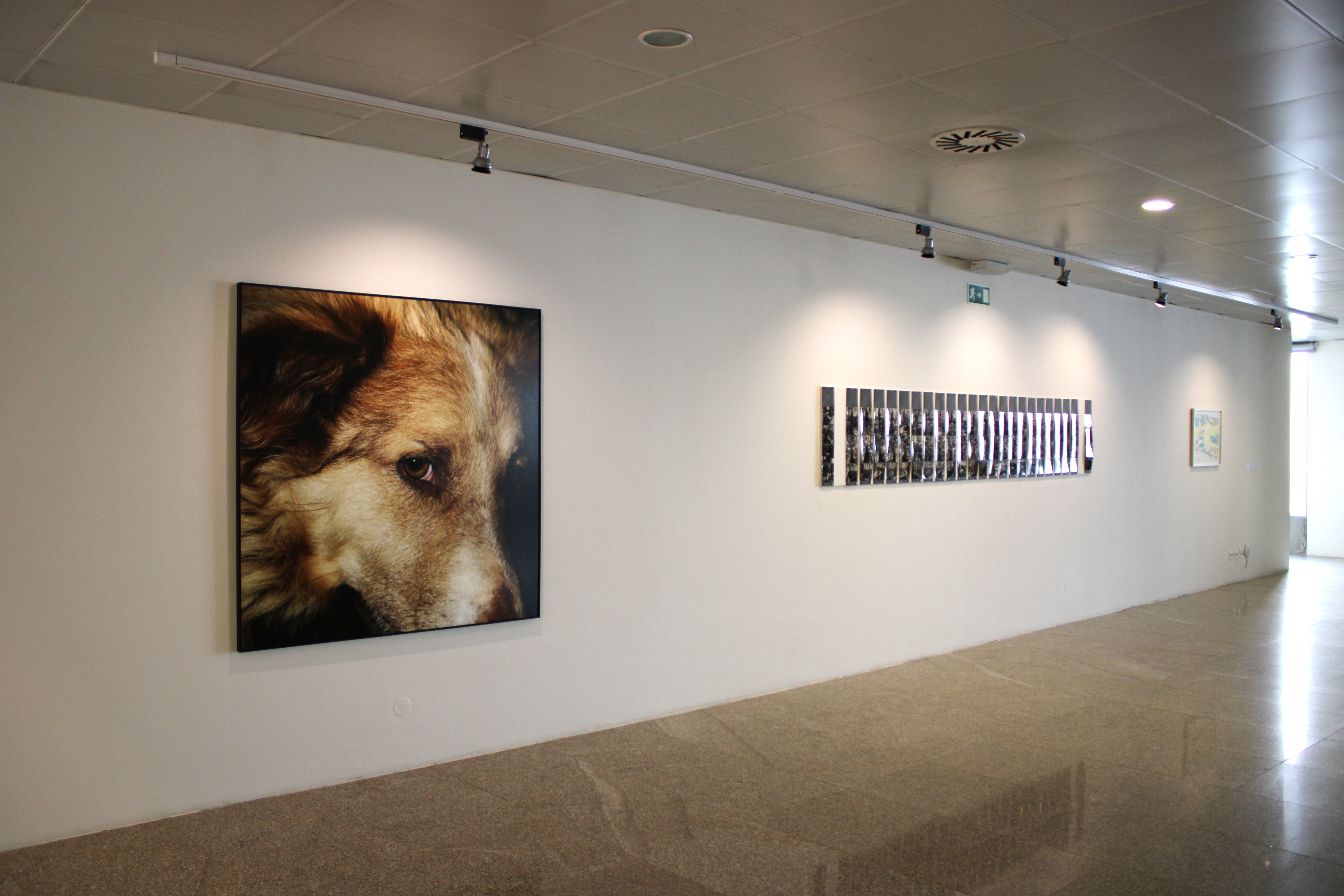 A exposição «PORQUÊ?» no Centro de Cultura Contemporânea de Castelo Branco – obras do MNAC e da CACE