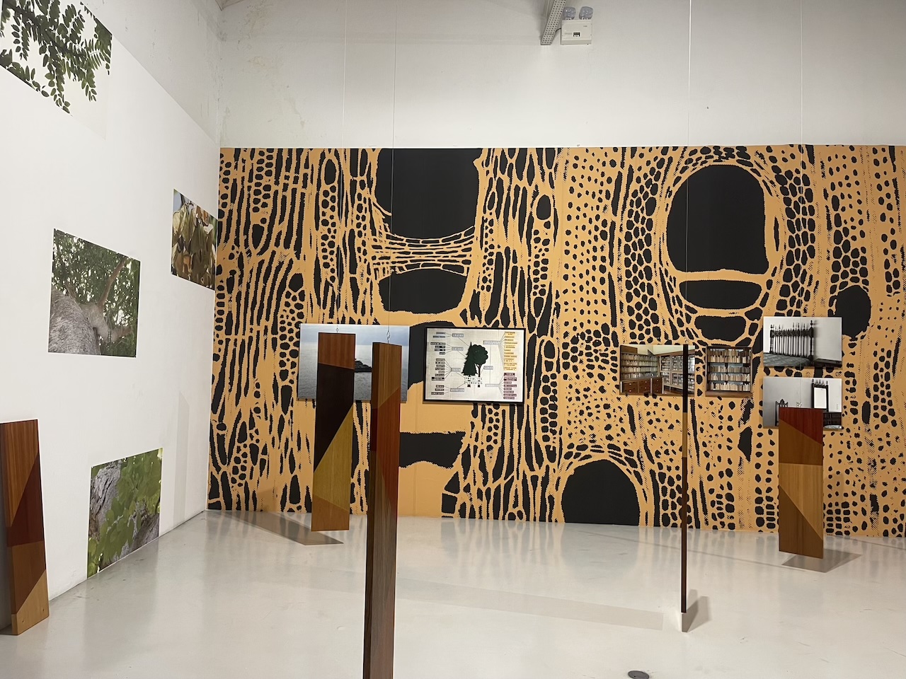 Uriel Orlow na Galeria Avenida da Índia