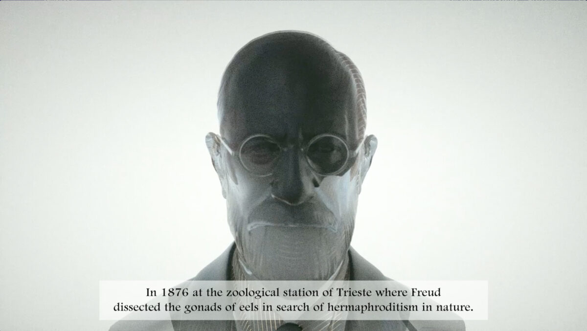 The Early Death of Sigmund Freud