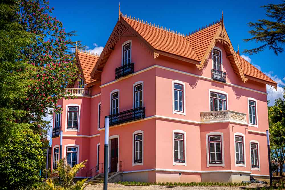 «Sonho Manifesto!»: exposição da Coleção de Arte Contemporânea do Estado vai a Leiria na abertura do Centro de Artes Villa Portela 